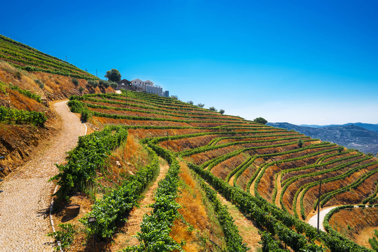 VINEYARDS & WINERY FOR SALE DOURO PORTO WINE-GROWING PORTUGAL | Douro Superior Porto, Cima Corgo, Baixo Corgo